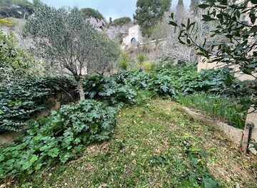 Aménagement d'un jardin sur le Mont-Saint-Clair à Sète